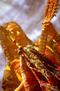 Lila Downs 