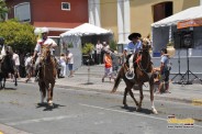 Caballos 