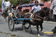 Desfile 