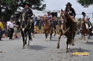 Desfile 