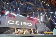 Ceibo 